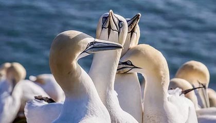 金年会官网-中国女足联赛开赛在即，球迷期待队伍的表现，中国女足足球比赛